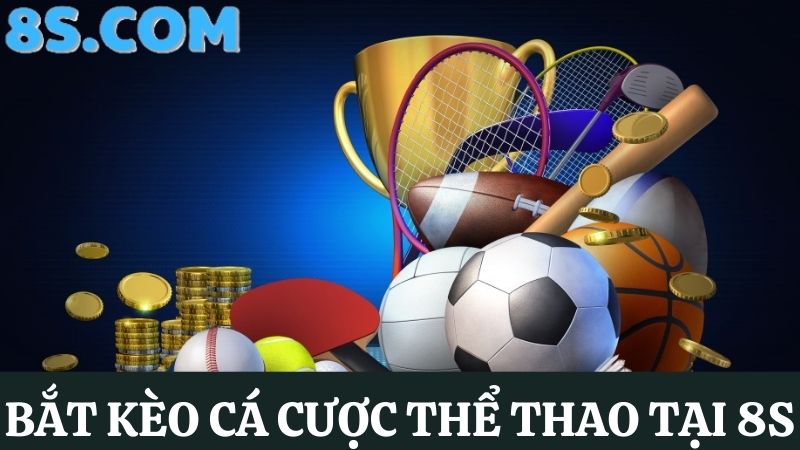 nhà cái uy tín 8S cá độ thể thao cực “chất” 