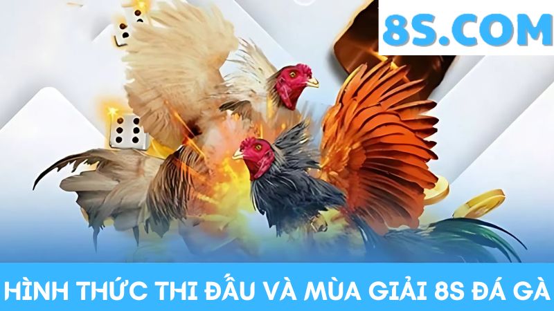 Hình thức thi đấu và mùa giải 8S Đá gà