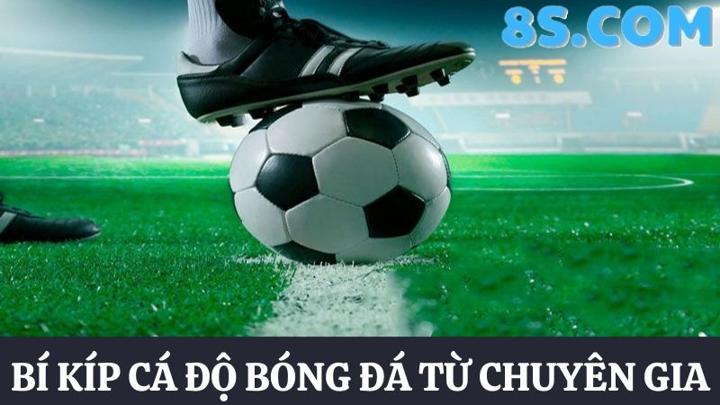 bí quyết thắng tại trang cá độ bóng đá 8S