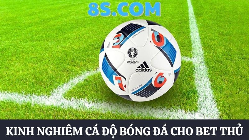 trang cá độ bóng đá 8S uy tín